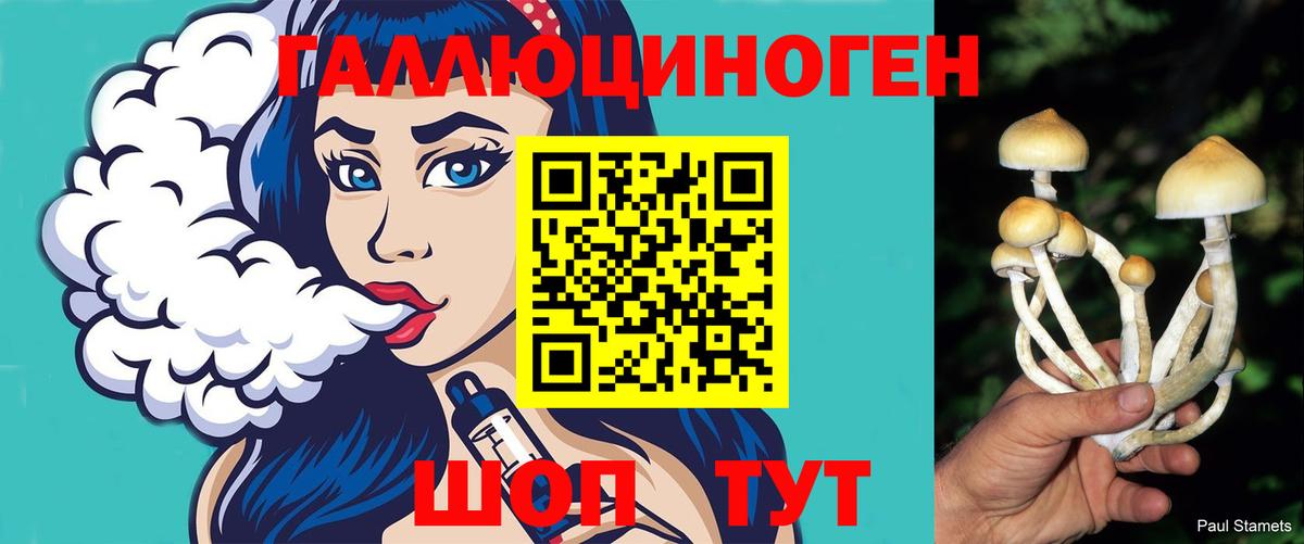 Галлюциногенные грибы Psilocybine cubensis  Вход с VPN  где можно купить   Елизово 